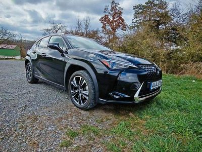 Lexus UX 250h