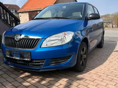Usata Skoda Fabia 60 CV (44 kW) 2014 Blu Berlina