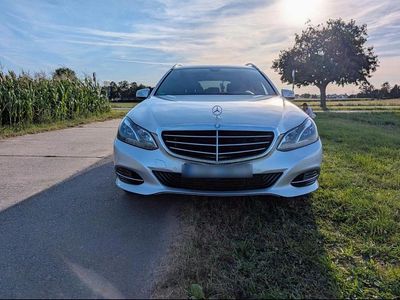 Grau Gebraucht 2014 Mercedes E220 Kombi | 12.890 € (Fairer Preis)