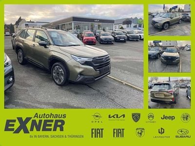 Autumn green (m) Neu 2025 Subaru Forester Trend SUV | 34.990 € (Guter Preis)