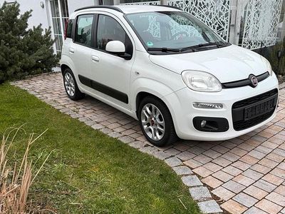 Gebraucht Fiat Panda 69 PS (50 kW) 2013 Weiß Kleinwagen