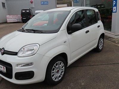 Gebraucht Fiat Panda Easy 69 PS (50 kW) 2020 Weiß Kleinwagen