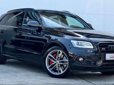 gebraucht Audi SQ5 Plus*3.0 TDI*quattro*Raute*B&O*Keyless*ACC*