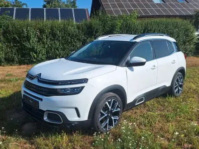 Gebraucht Citroën C5 Aircross Shine 131 PS (96 kW) 2020 Weiß SUV