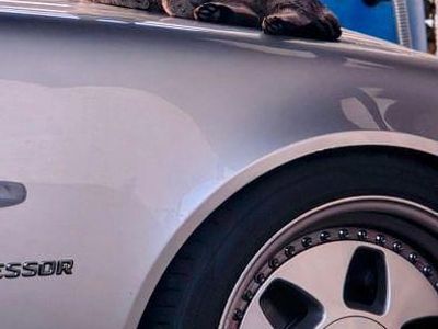 Gebraucht Mercedes SLK230 193 PS (141 kW) 1997 Rot Cabrio