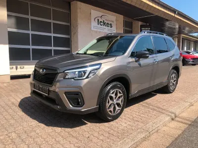 Gebraucht Subaru Forester
