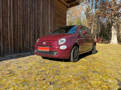 Gebraucht Fiat 500 70 PS (51 kW) 2021 Rot Limousine