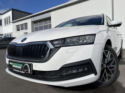 Gebraucht Skoda Octavia Clever 150 PS (110 kW) 2022 Candyweiss Kombi