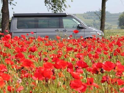 Grau Gebraucht 2023 VW California Edition Van | 56.600 € (Etwas zu teuer)