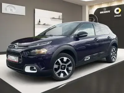 Brugt Citroën C4 Cactus Shine 110 HK (80 kW) 2019 Andere Hatchback