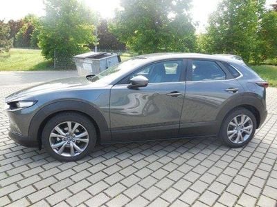 Gebraucht Mazda CX-30 Selection 179 PS (131 kW) 2019 Matrixgrau SUV