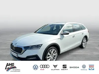 Gebraucht Skoda Octavia 190 PS (139 kW) 2023 Moonweiß perleffekt Kombi