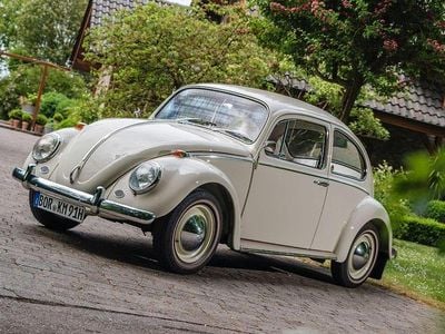Weiß Gebraucht 1964 VW Käfer Limousine | 28.900 €