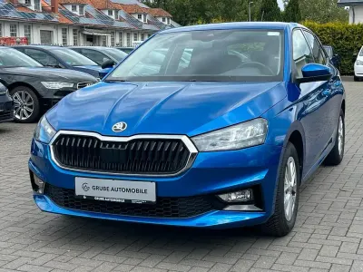 Usata Skoda Fabia