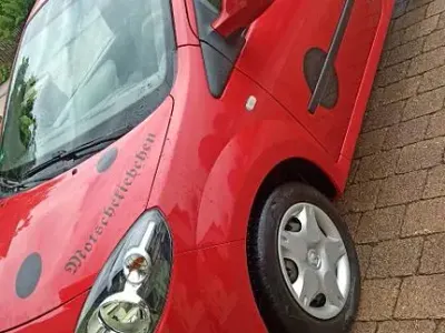 Używany Renault Twingo Rip Curl 75 KM (55 kW) 2009 Czerwony Hatchback