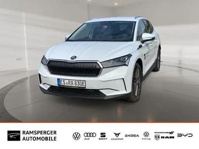 Usata Skoda Enyaq iV 150 kW (204 CV) 2024 Bianco SUV