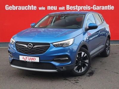 Gebraucht Opel Grandland X 131 PS (96 kW) 2019 Blau SUV