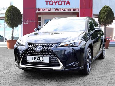 Gebraucht Lexus UX 184 PS (135 kW) 2022 SUV