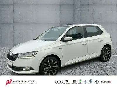 Gebraucht Skoda Fabia Drive 110 PS (80 kW) 2020 Weiß Kleinwagen