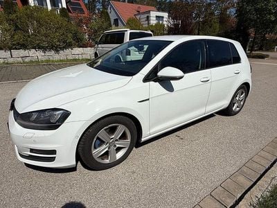 Usata VW Golf VII Cup 150 CV (110 kW) 2014 Bianco Station wagon