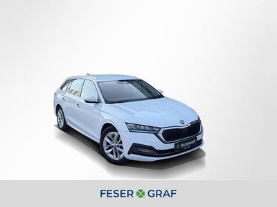 Gebraucht Skoda Octavia 116 PS (85 kW) 2021 Candy weiss Kombi