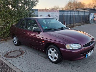 Gebraucht Ford Escort Cabriolet 75 PS (55 kW) 1996 Violet Cabrio