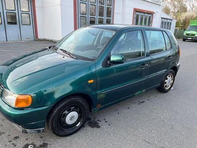 VW Polo