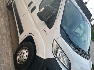 gebraucht Fiat Ducato 2019 2,3