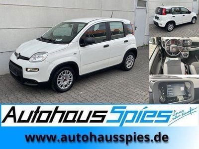 Second-hand Fiat Panda 71 CP (52 kW) 2023 Alb Hatchback