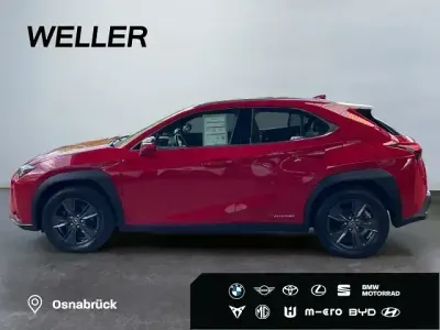 Gebraucht Lexus UX 250h