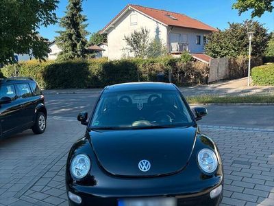 VW Beetle