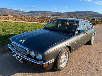 Gebraucht Jaguar XJ40 222 PS (163 kW) 1990 Grau Limousine