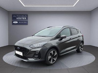 Gebraucht Ford Fiesta Active 125 PS (91 kW) 2023 Grau Kleinwagen