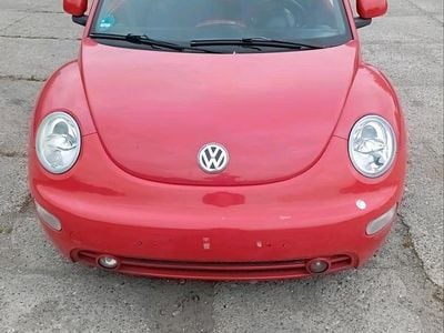VW Beetle