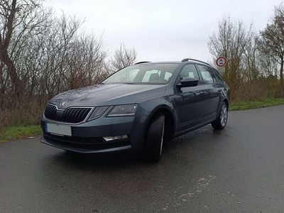 Grau Gebraucht 2019 Skoda Octavia Ambition Kombi | 14.395 € (Fairer Preis)
