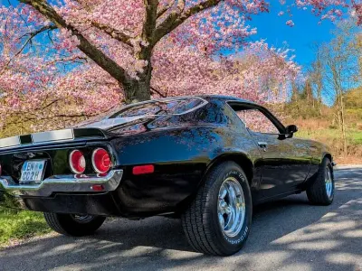 Gebraucht Chevrolet Camaro 250 PS (183 kW) 1970 Schwarz Coupé