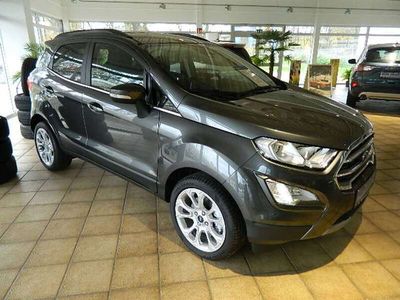 gebraucht Ford Ecosport EcoSportTITANIUM Klimatron / WPkt