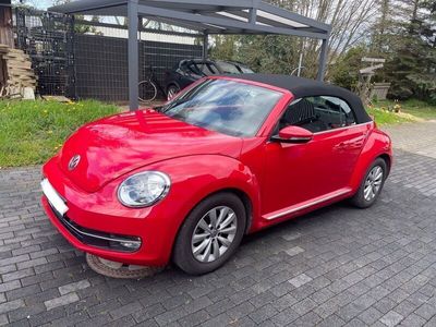 gebraucht VW Beetle Design BMT