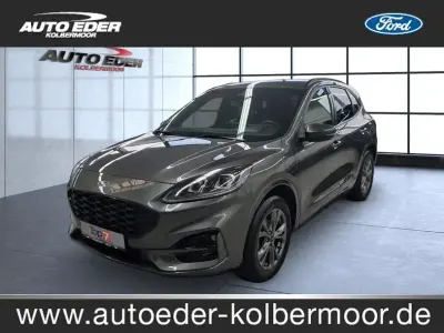 Usata Ford Kuga ST-Line X 224 CV (164 kW) 2022 Grigio SUV