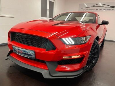 gebraucht Ford Mustang 2.3 Premium/Shely GT350/Sitzbel+Shz/Navi