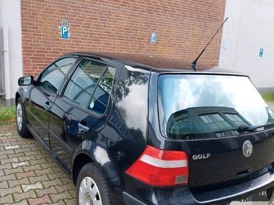 gebraucht VW Golf IV 1.4 Benzin