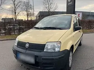 Brugt Fiat Panda 54 HK (39 kW) 2009 Gul Hatchback