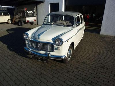 Weiß / grau Gebraucht 1959 Fiat 1100 Lusso Limousine | 13.500 €