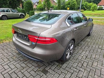 Gebraucht Jaguar XF Pure 163 PS (119 kW) 2018 Braun Limousine