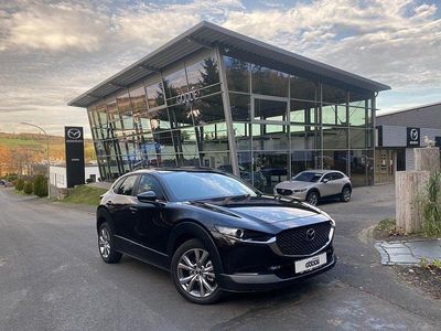 Gebraucht Mazda CX-30 Selection 122 PS (89 kW) 2022 SUV