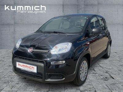 Gebraucht Fiat Panda 69 PS (50 kW) 2024 Schwarz Kleinwagen