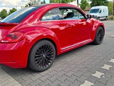 VW Beetle