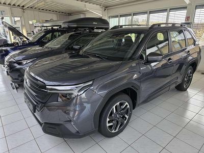 Nuova Subaru Forester 136 CV (100 kW) 2026 Grigio SUV