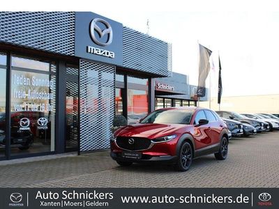 Gebraucht Mazda CX-30 Homura-Line 122 PS (89 kW) 2024 Rot SUV