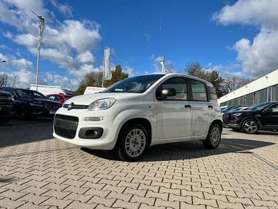 Gelato weiß Gebraucht 2020 Fiat Panda Easy Kleinwagen | 10.990 € (Fairer Preis)